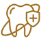 Dental consultation Bangalore